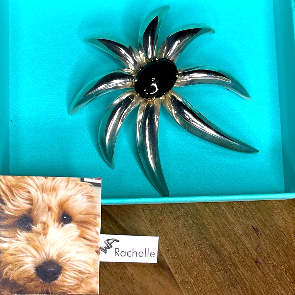 RARE Tiffany & Co. Fireworks onyx brooch 925 & 18k